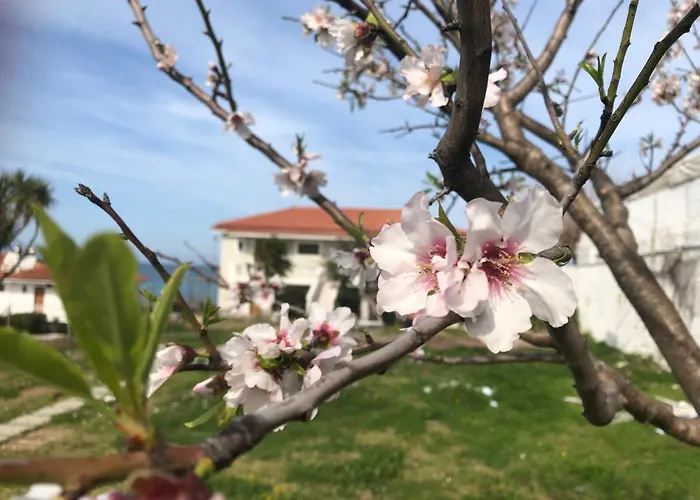 Διαμέρισμα Diomare