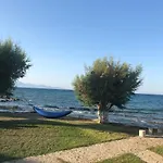 Diomare * 基普塞利