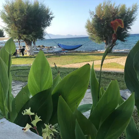 Apartment Diomare *