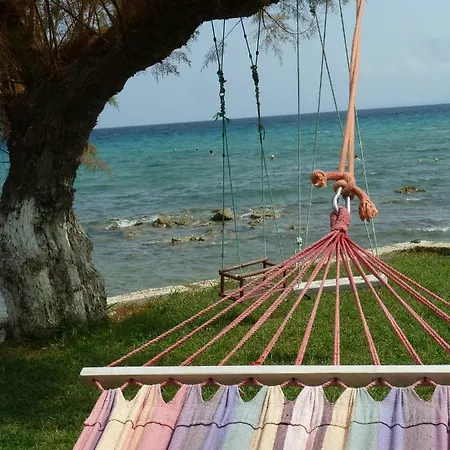 Diomare * Κυψέλη