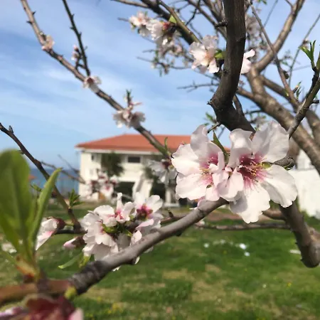 Appartamento Diomare